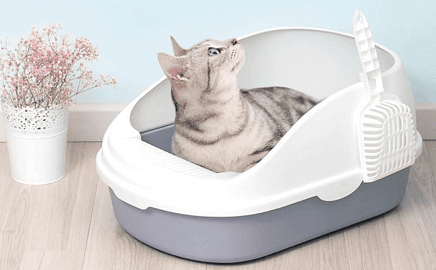 Лоток для кошек Semi-Open Cat Litter (White/Белый) - 3